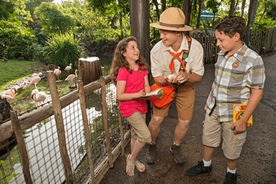 15 Things to do at Disney World with Kids