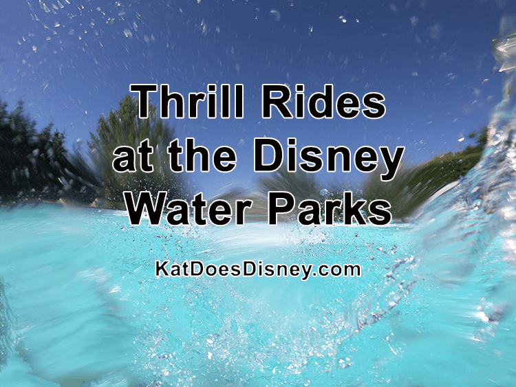 Thrill Disney Water Parks