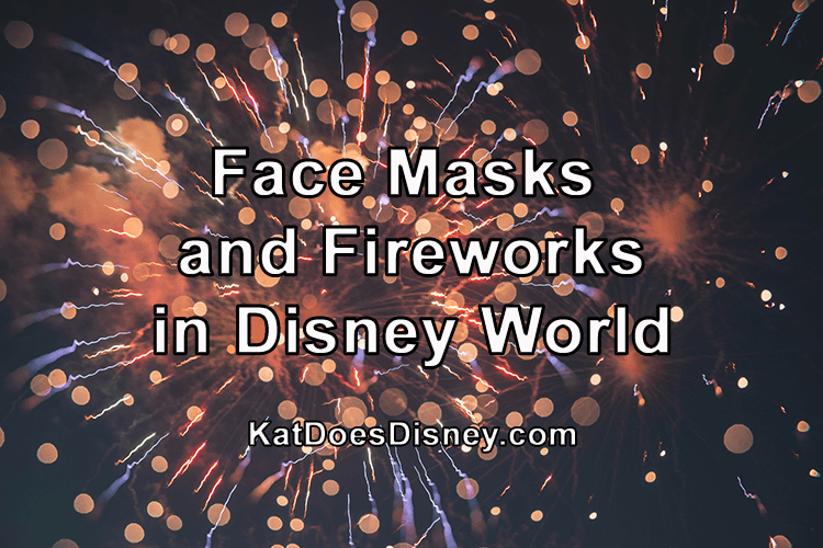 Face Masks Fireworks Disney World